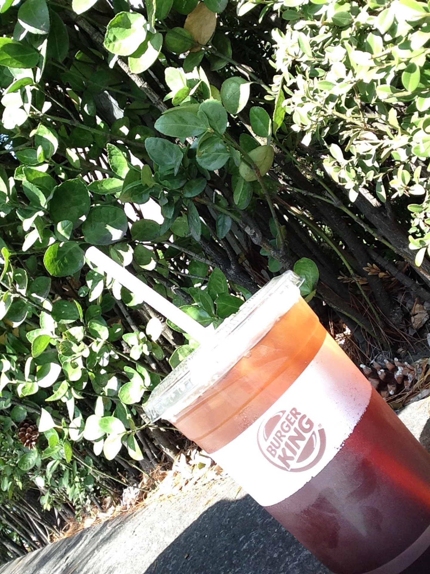 Burger King | 경기도 성남 분당구 내정로 167 | +82 31-714-5858 Burger King | 경기도 성남 분당구 내정로 167 | +82 31-714-5858