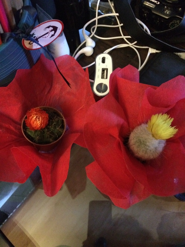 ÇekBeni Photography Studio | Bestekar Sokak 70/4, 06680 Çankaya/Ankara | +90 535 394 30 40