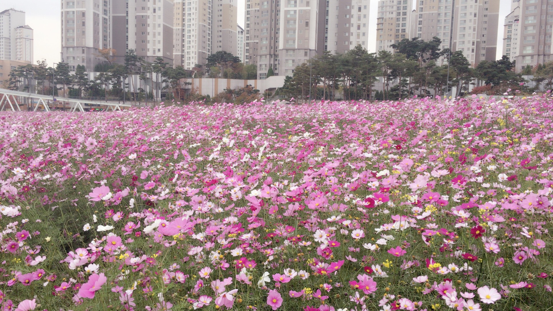 AVENUE FRANCE | 경기도 Suwon-si, Gyeonggi-do 영통구 센트럴타운로 85 | +82 31-216-9308