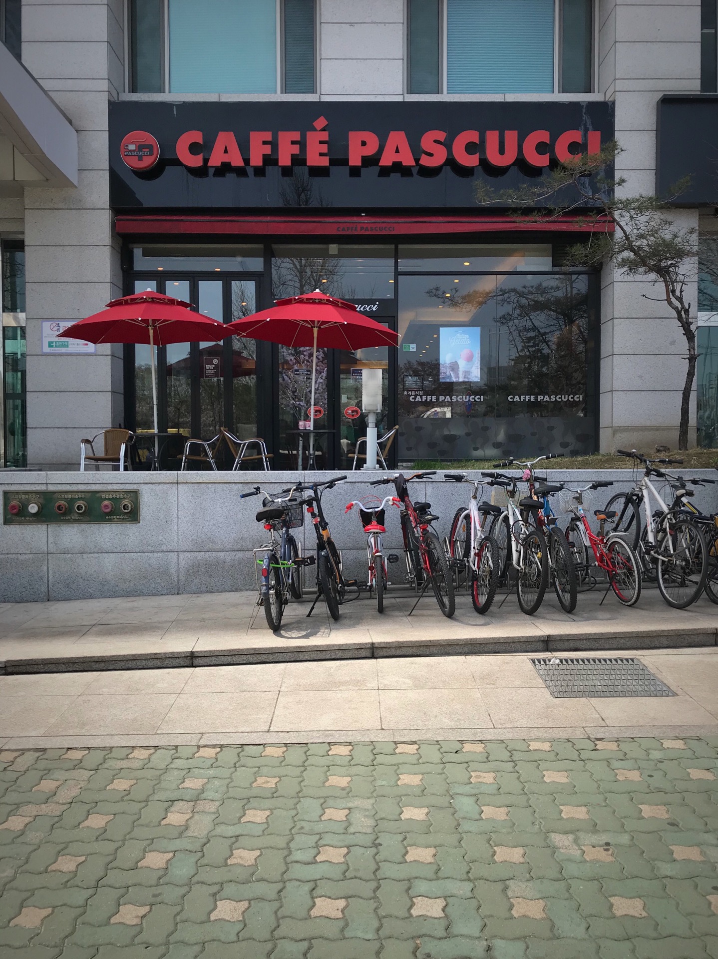 CAFFÉ PASCUCCI | 서울시 영등포구 여의도동 13 진미파라곤 1층 | +82 2-780-8497