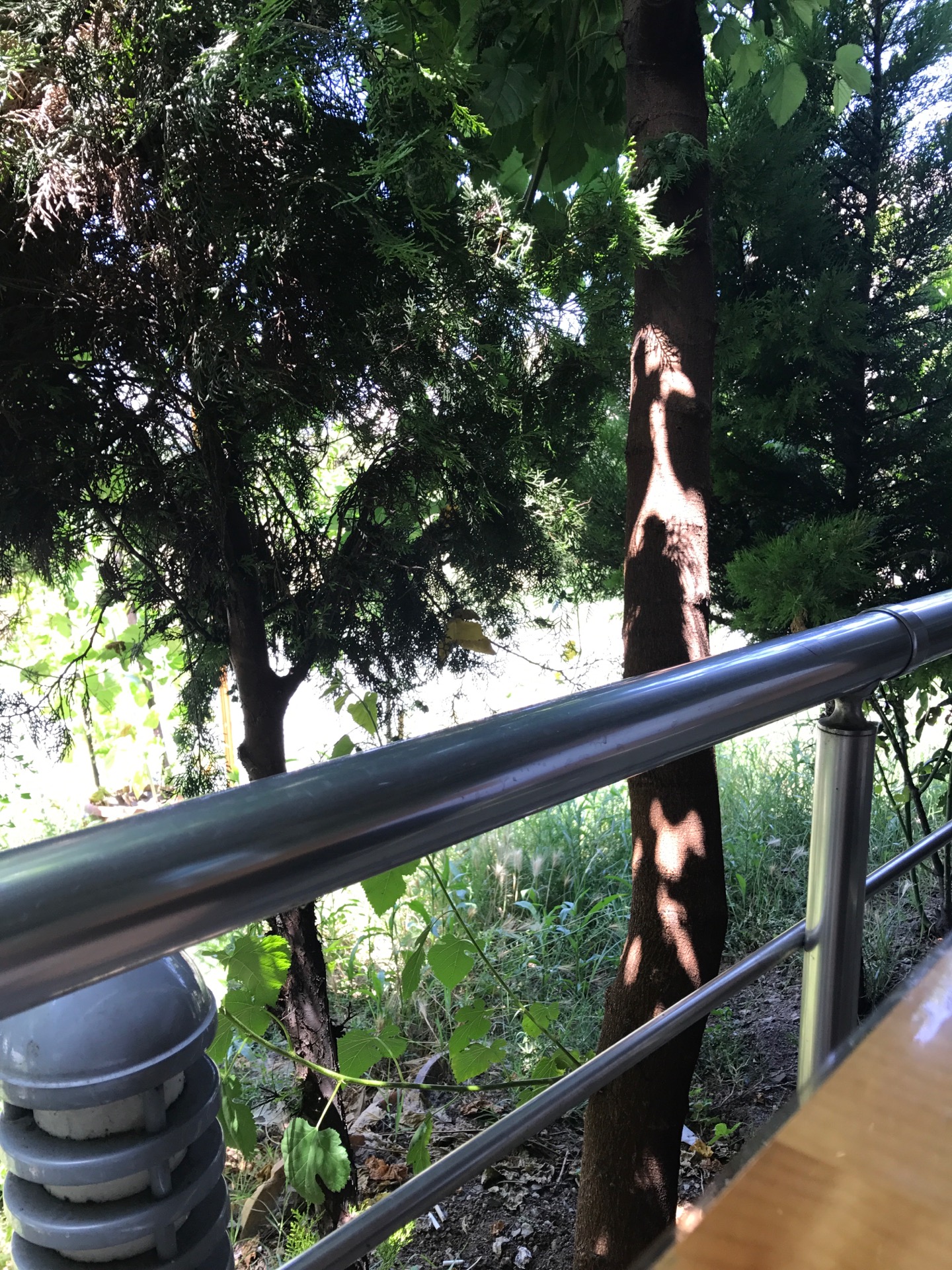 Özel Bando Çocuk Evi | Çamlık Şehit Burak Kurtuluş Caddesi, 34774 Ümraniye/İstanbul | +90 216 313 34 74