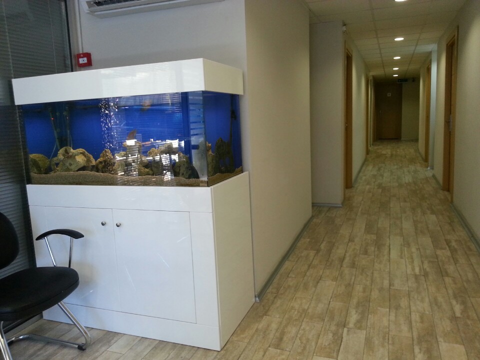 Kuzeyege Dalış Merkezi | Büyükdere Caddesi 102, 34394 Besiktas/İstanbul | +90 212 288 42 21