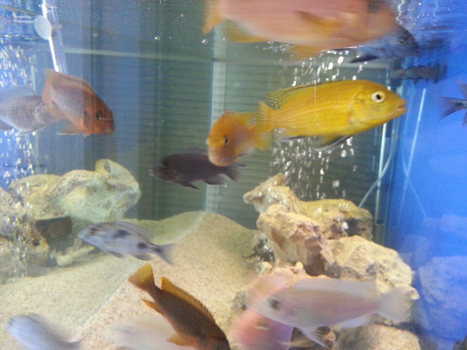 Kuzeyege Dalış Merkezi | Büyükdere Caddesi 102, 34394 Besiktas/İstanbul | +90 212 288 42 21