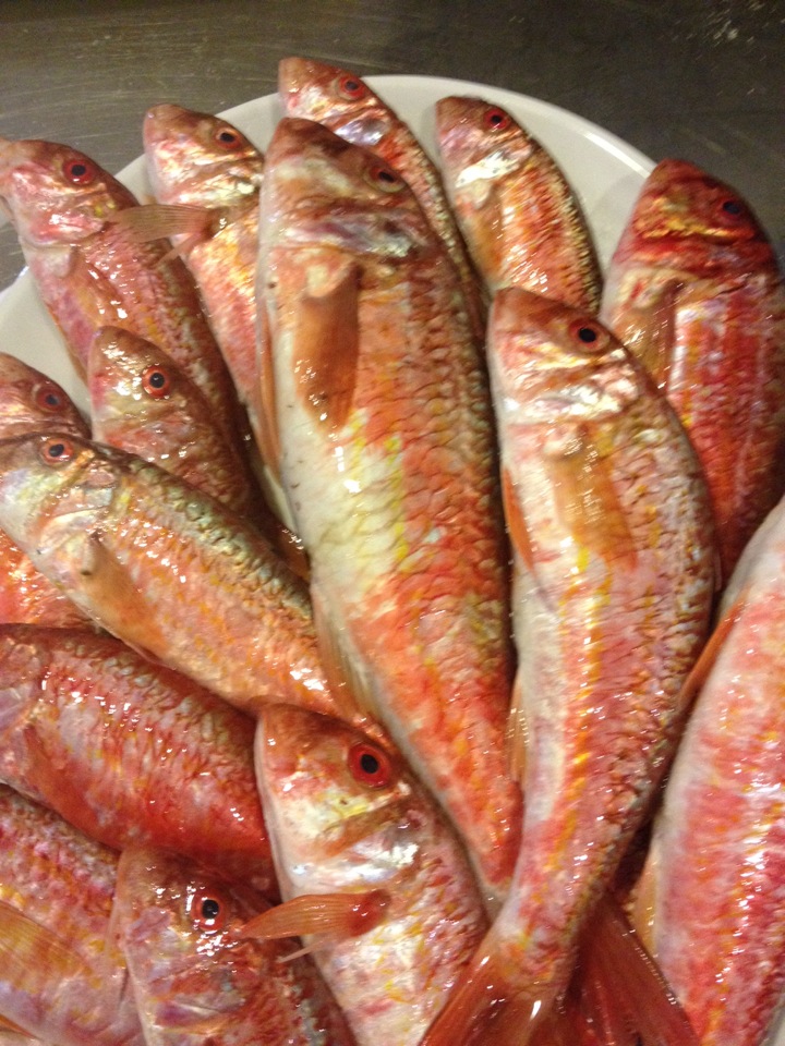 Moshonis Balıkçısı İsmail Chef | Feneryolu Mahallesi/No:99/A Bagdat Caddesi, 34724 Kadiköy/İstanbul | +90 216 349 16 56