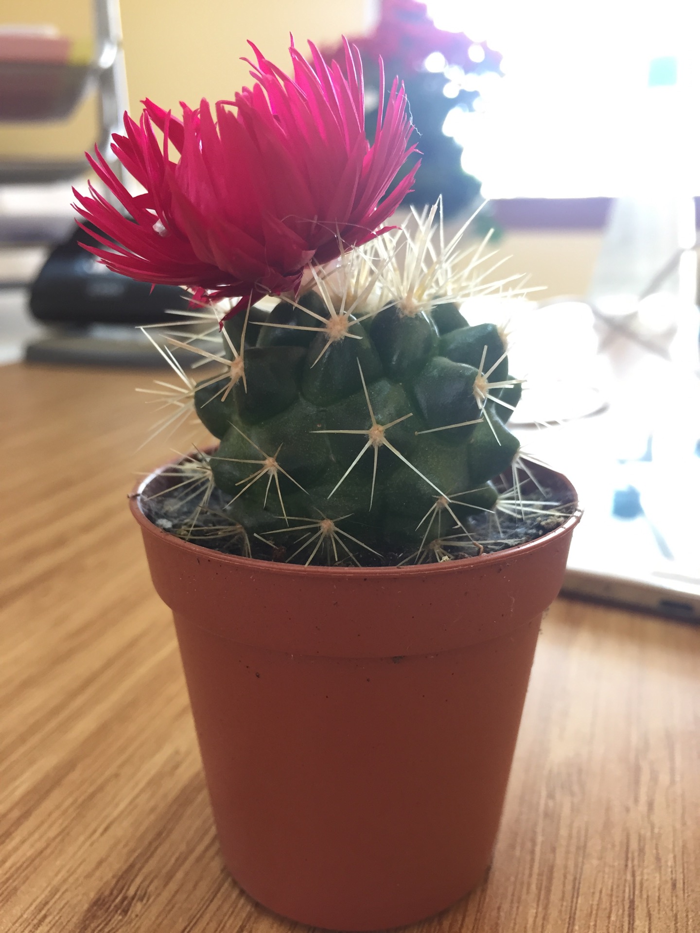 Eskişehir Kobi Sanayi Bölgesi | Ankara Yolu 10.Km, 26110 Eskişehir/Eskişehir | +90 222 236 10 80