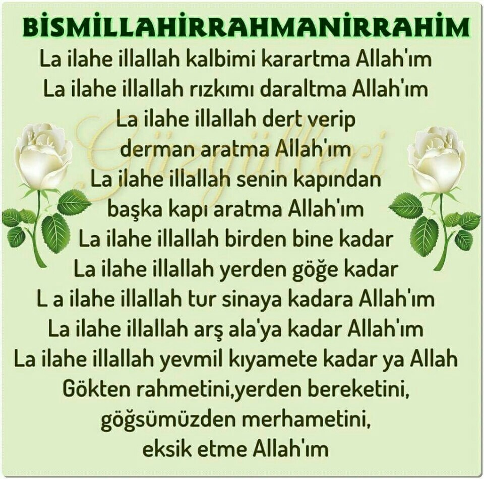 Pamuk Cafe | Merkez 1 Karakol Sokak, 34450 Sarıyer/İstanbul | +90 212 218 20 80