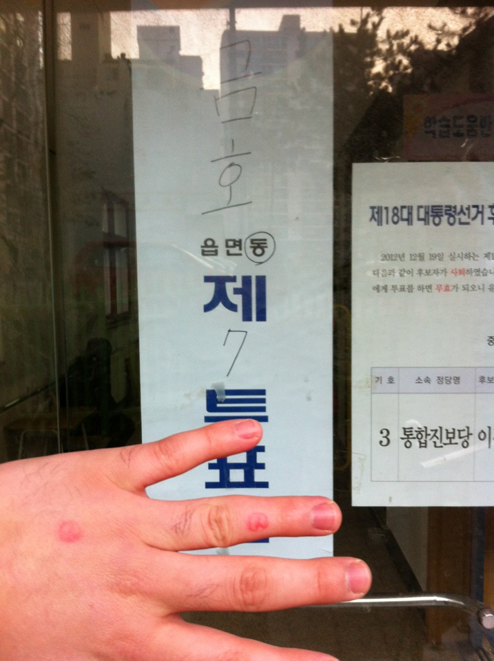 수원칠보초등학교 | 경기도 수원시 권선구 금호로37번길 15 | +82 31-291-1302