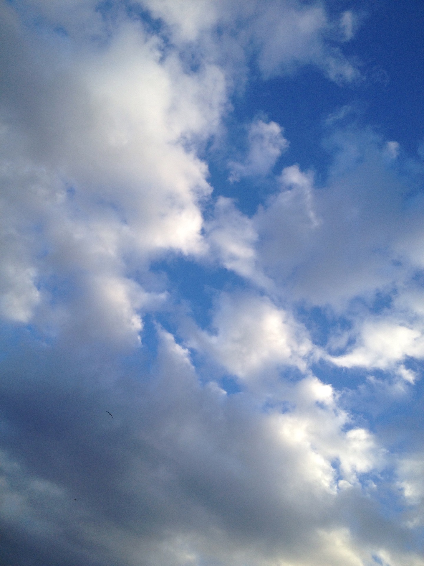 Masal Kreş ve Çocuk Kulübü | Gölcük/Kocaeli | +90 262 427 23 31