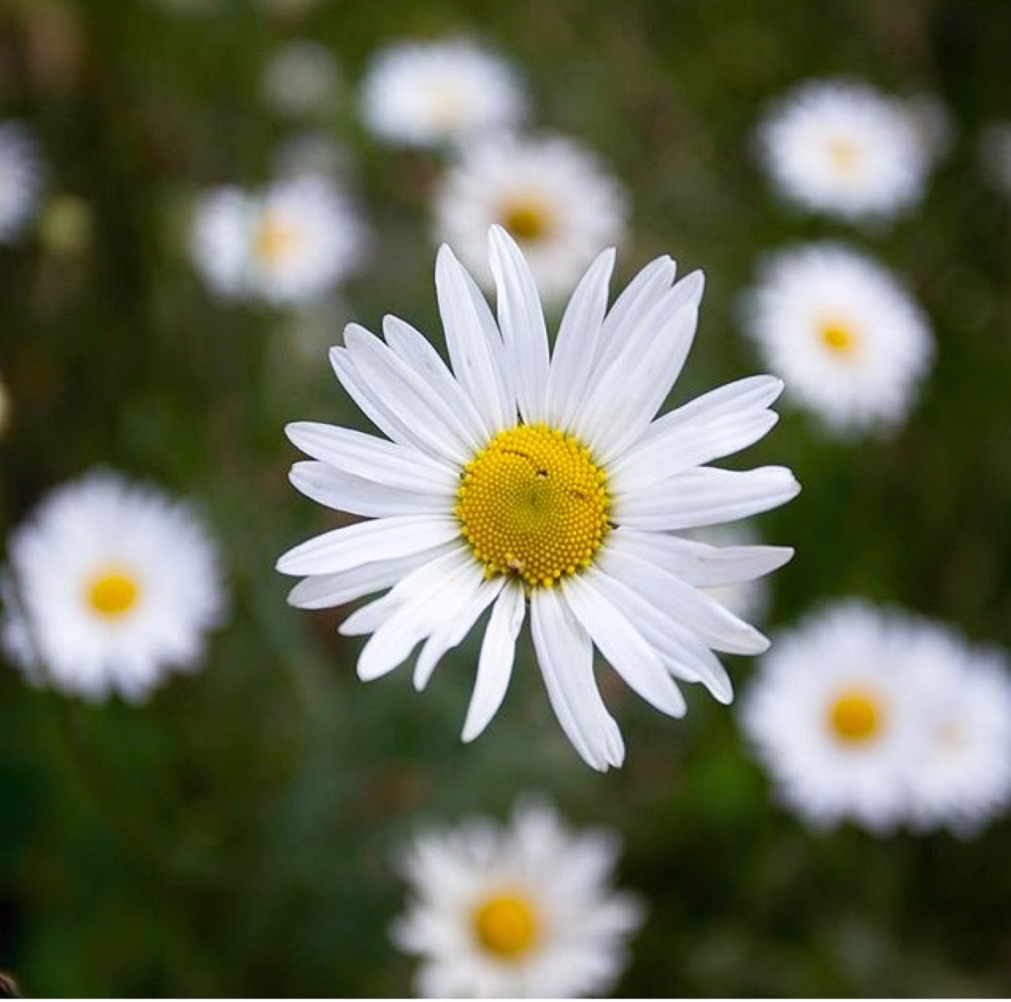 Masal Kreş ve Çocuk Kulübü | Gölcük/Kocaeli | +90 262 427 23 31