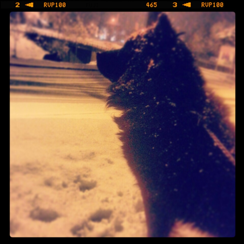 Meydancık Tramvay Durağı | İncirli Caddesi, Yildirim/Bursa | +90 444 9 916