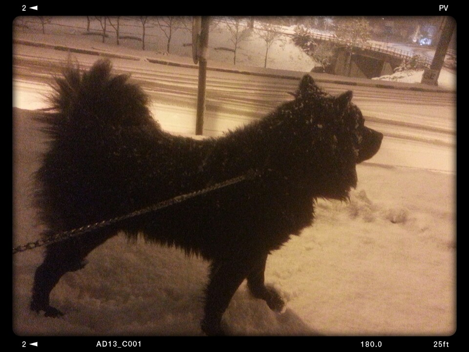 Meydancık Tramvay Durağı | İncirli Caddesi, Yildirim/Bursa | +90 444 9 916