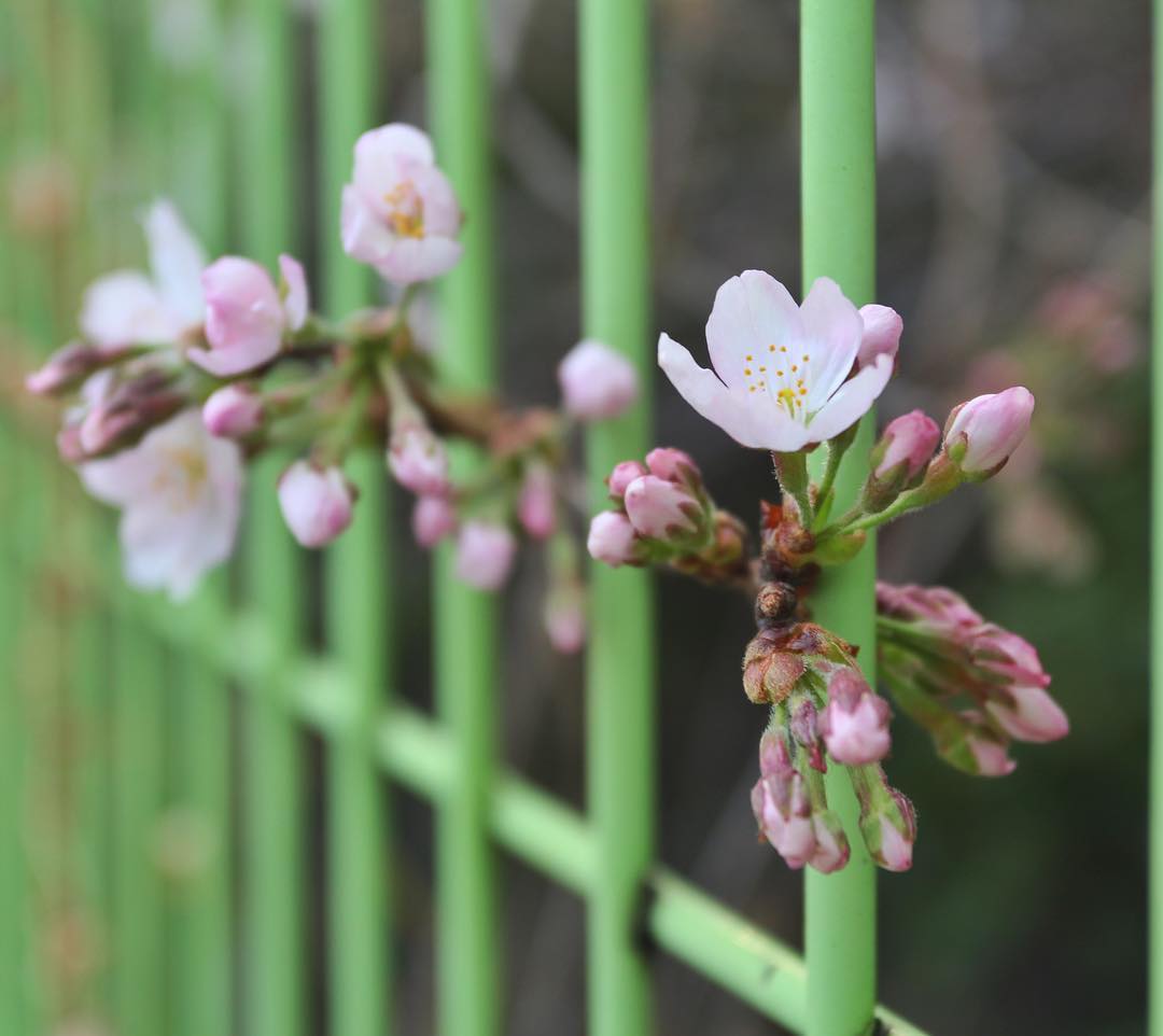 한국예술종합학교 | 서울 성북구 화랑로32길 146-37 | +82 2-746-9000