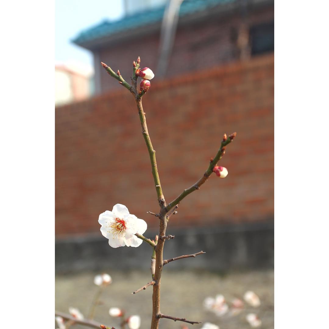 한국예술종합학교 | 서울 성북구 화랑로32길 146-37 | +82 2-746-9000