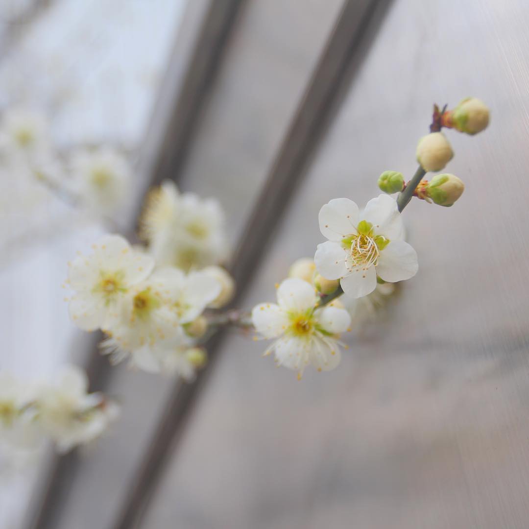 한국예술종합학교 | 서울 성북구 화랑로32길 146-37 | +82 2-746-9000