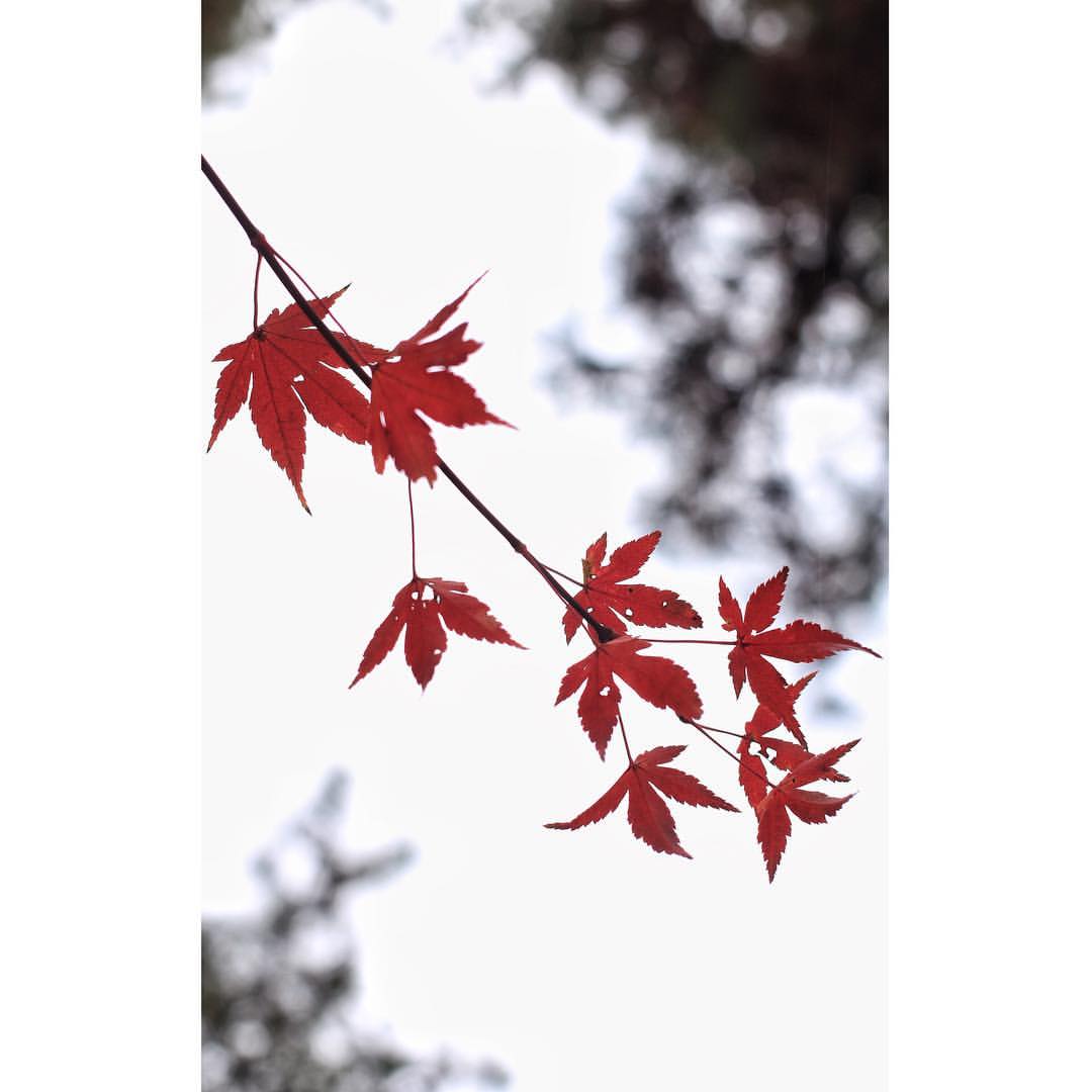 한국예술종합학교 | 서울 성북구 화랑로32길 146-37 | +82 2-746-9000