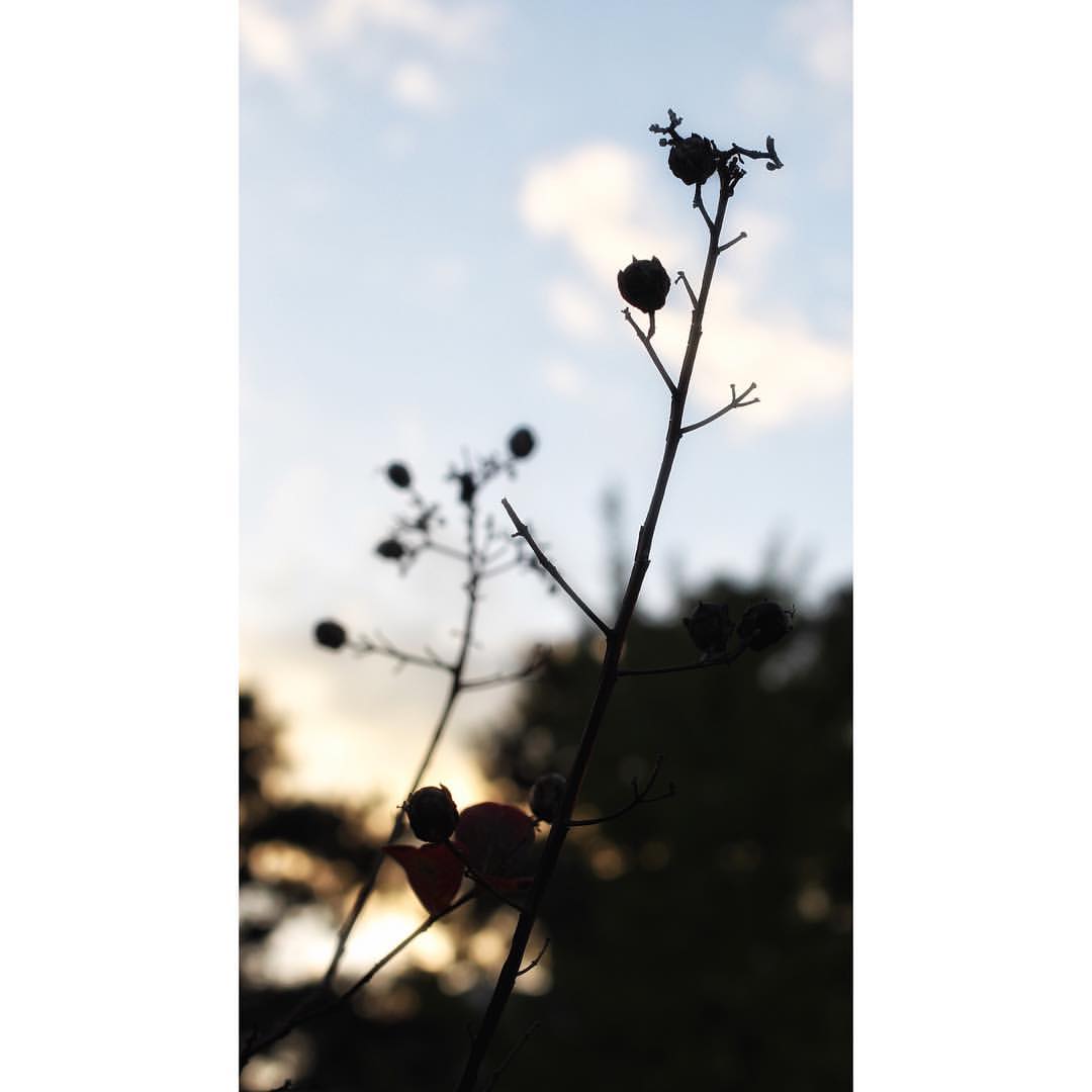 한국예술종합학교 | 서울 성북구 화랑로32길 146-37 | +82 2-746-9000