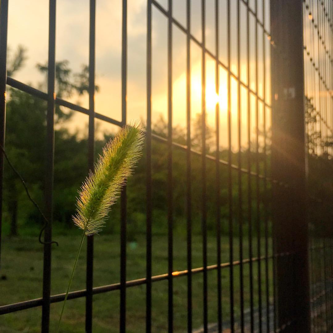 한국예술종합학교 | 서울 성북구 화랑로32길 146-37 | +82 2-746-9000