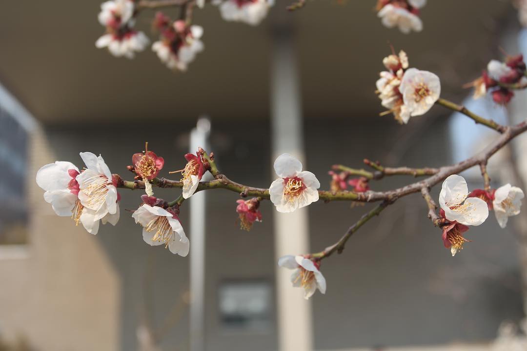 한국예술종합학교 | 서울 성북구 화랑로32길 146-37 | +82 2-746-9000