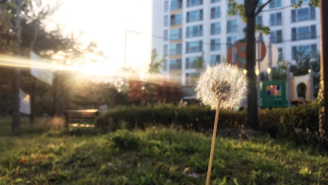 한국예술종합학교 | 서울 성북구 화랑로32길 146-37 | +82 2-746-9000