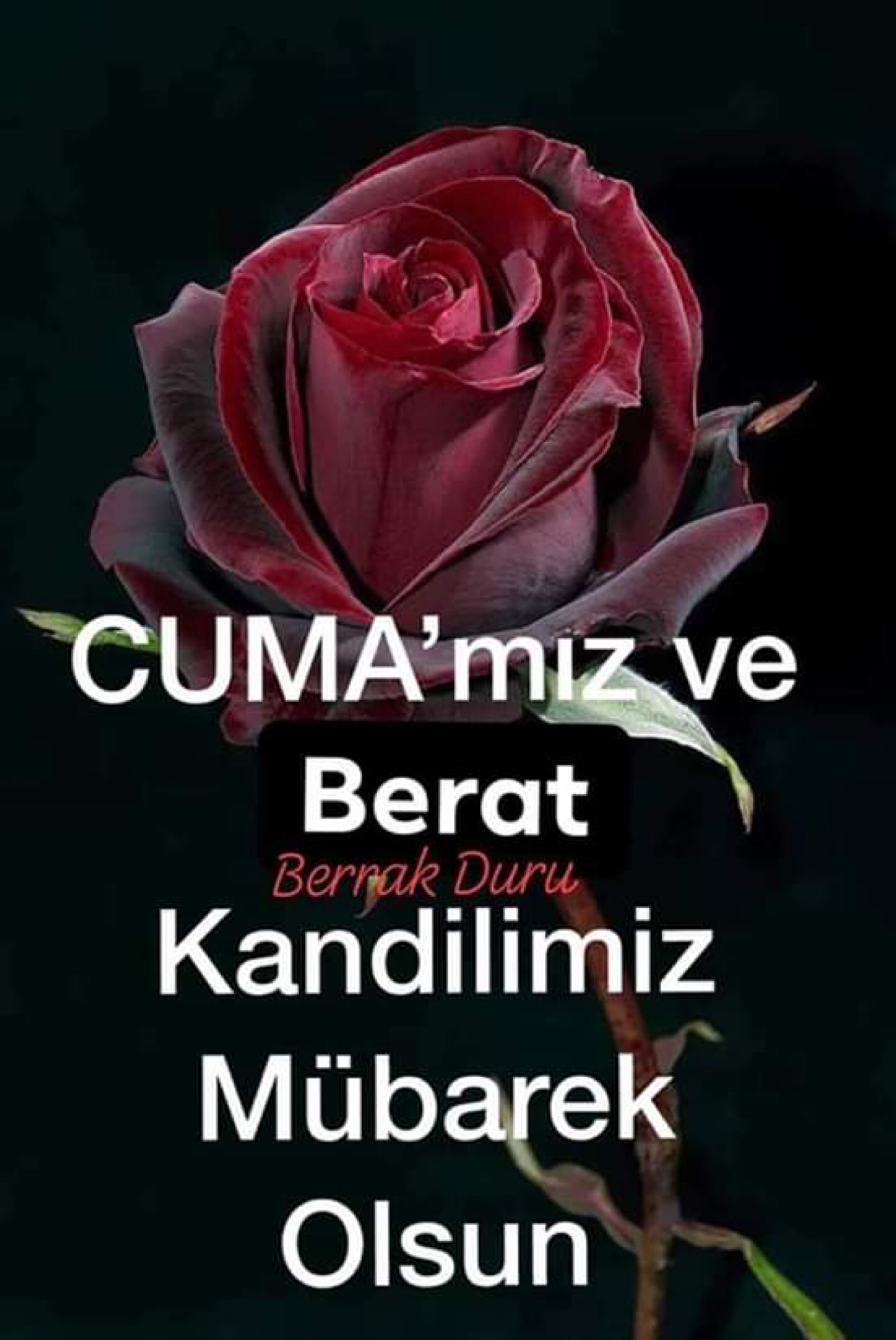 Ege Kent 4 Üçgen Park | Mustafa Kemal Pasa Mahallesi 83 Sokak, 35000 Menderes/İzmir | +90 536 652 63 52