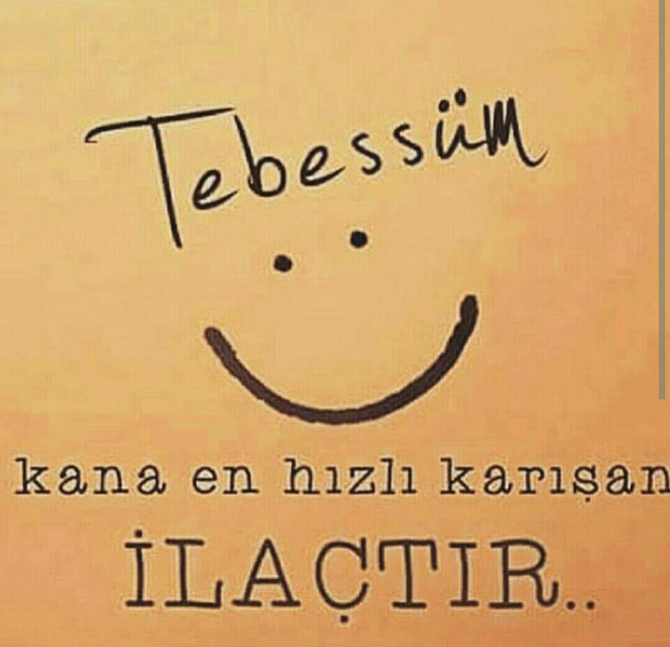 Köseoğlu Akkükürt Limited Şti | Atalar Mahallesi Yenice, 33100 Mersin/tarsus | +90 324 454 14 12