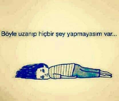 Köseoğlu Akkükürt Limited Şti | Atalar Mahallesi Yenice, 33100 Mersin/tarsus | +90 324 454 14 12