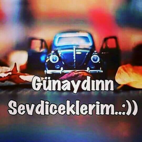 Köseoğlu Akkükürt Limited Şti | Atalar Mahallesi Yenice, 33100 Mersin/tarsus | +90 324 454 14 12