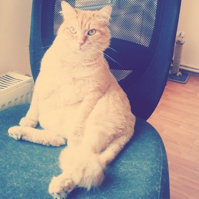 7Gates Interactive Technologies | Etiler, Besiktas/İstanbul | +90 212 351 70 65