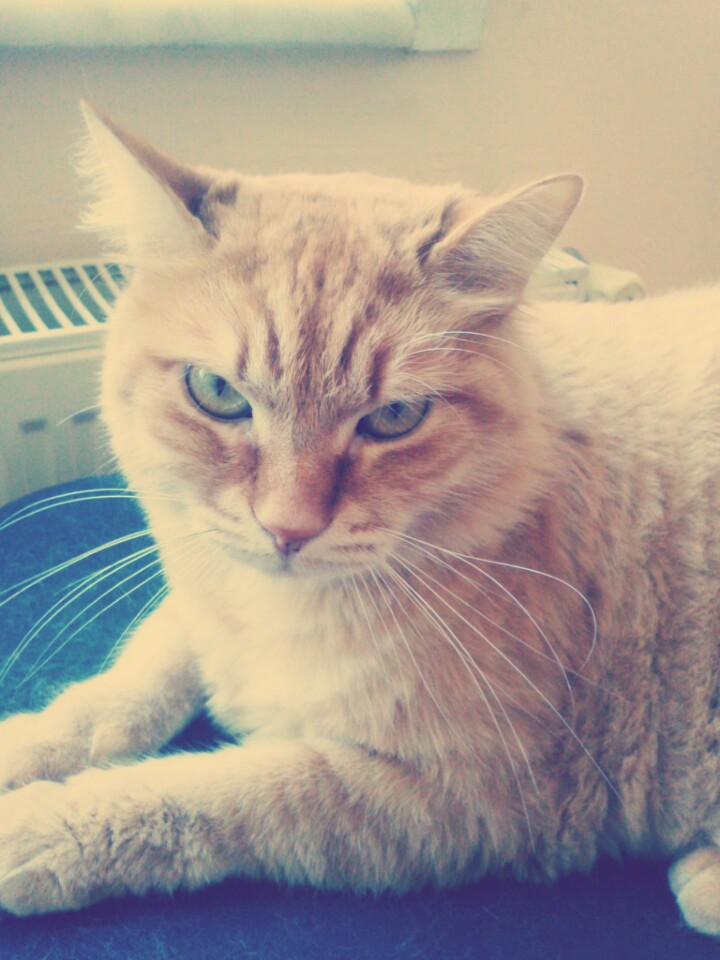 7Gates Interactive Technologies | Etiler, Besiktas/İstanbul | +90 212 351 70 65