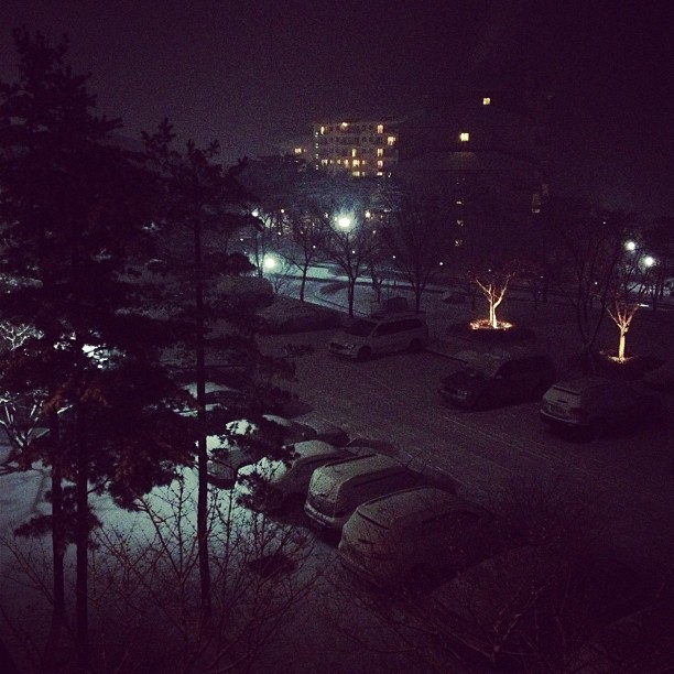 오크밸리 CC (Oak Valley CC) | 강원도/한국 원주 지정면 오크밸리1길 67 | +82 33-730-3500 오크밸리 CC (Oak Valley CC) | 강원도/한국 원주 지정면 오크밸리1길 67 | +82 33-730-3500