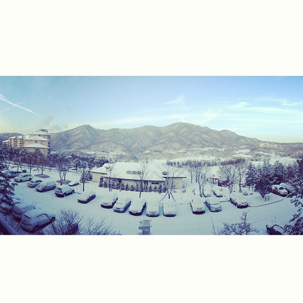 오크밸리 CC (Oak Valley CC) | 강원도/한국 원주 지정면 오크밸리1길 67 | +82 33-730-3500 오크밸리 CC (Oak Valley CC) | 강원도/한국 원주 지정면 오크밸리1길 67 | +82 33-730-3500