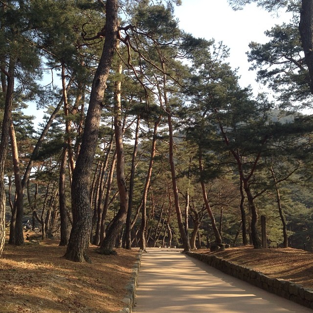 소수서원 (紹修書院, Sosu Seowon) | 경상북도 영주 순흥면 소백로 2740 | +82 54-639-5852 소수서원 (紹修書院, Sosu Seowon) | 경상북도 영주 순흥면 소백로 2740 | +82 54-639-5852