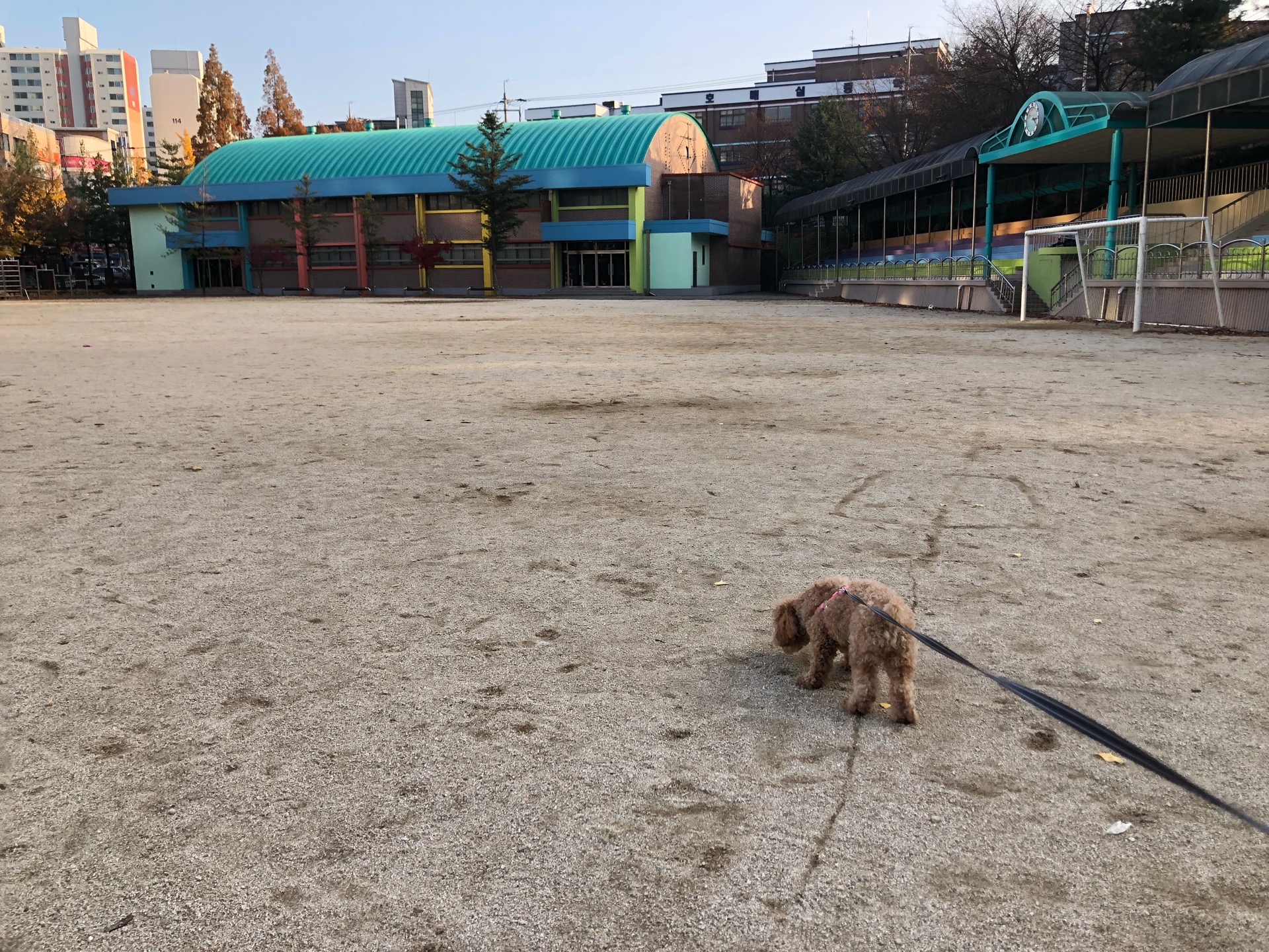 수원칠보초등학교 | 경기도 수원시 권선구 금호로37번길 15 | +82 31-291-1302