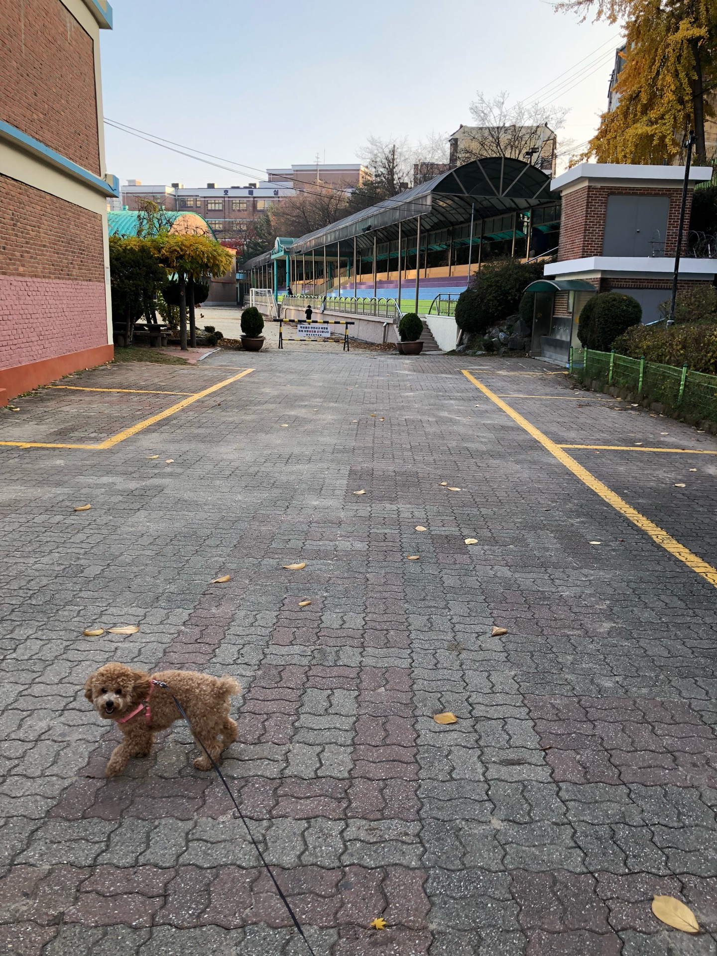 수원칠보초등학교 | 경기도 수원시 권선구 금호로37번길 15 | +82 31-291-1302