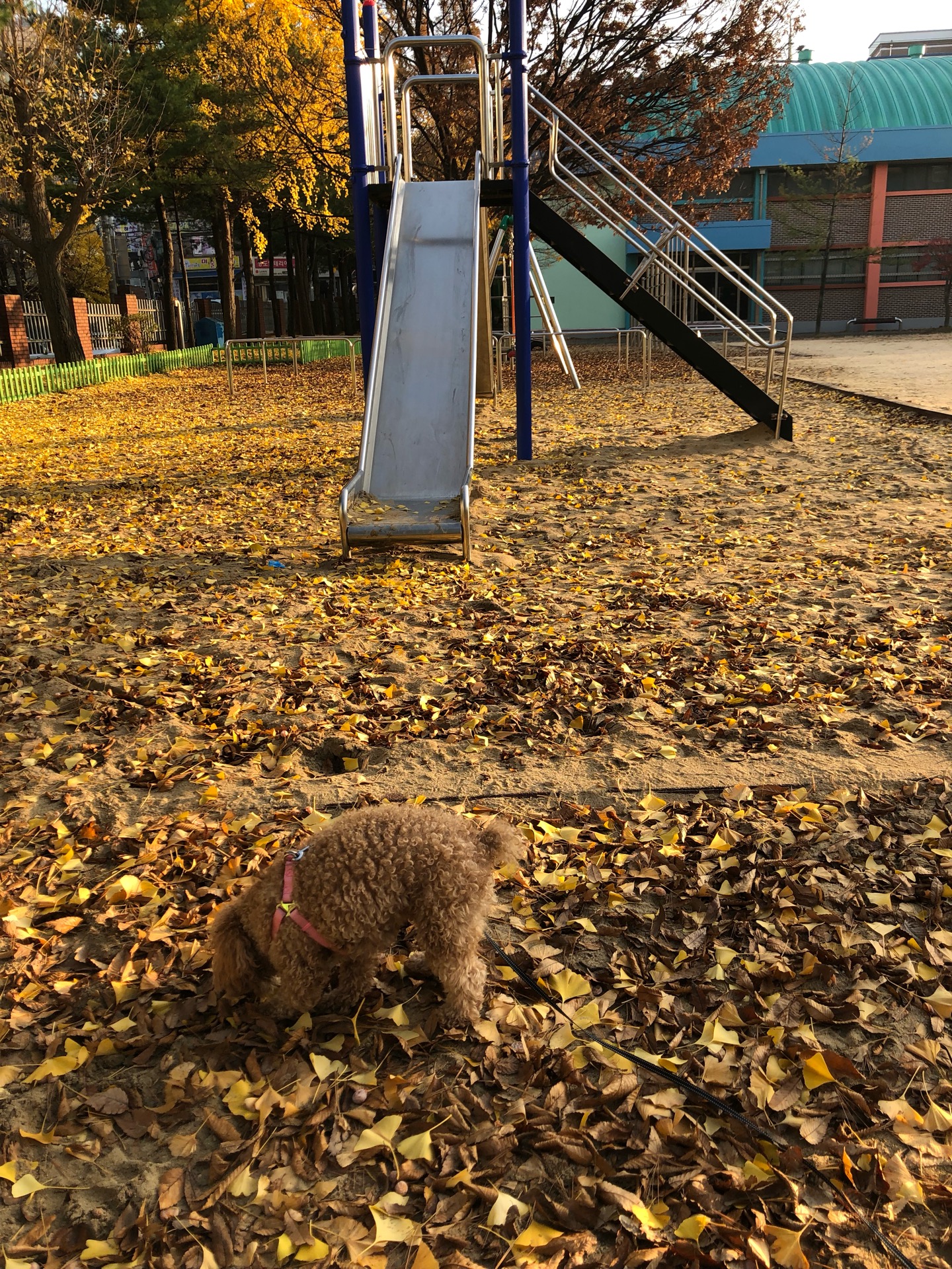 수원칠보초등학교 | 경기도 수원시 권선구 금호로37번길 15 | +82 31-291-1302