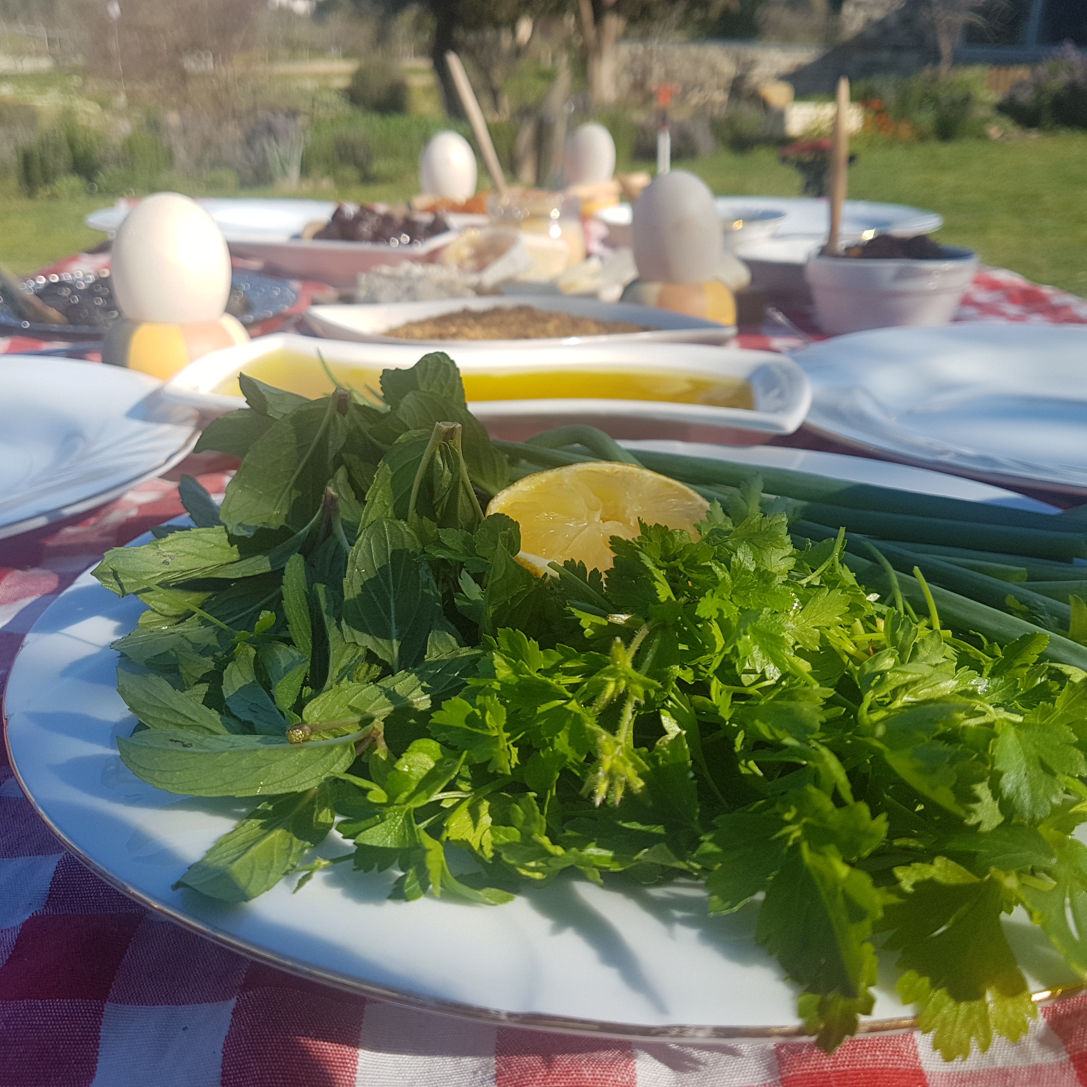 Kayıran Çiftliği Orhanlı | Orhanlı Mahallesi Kır Yakası Mevkii Seferihisar, 35460 Seferihisar/İzmir | +90 505 729 61 17