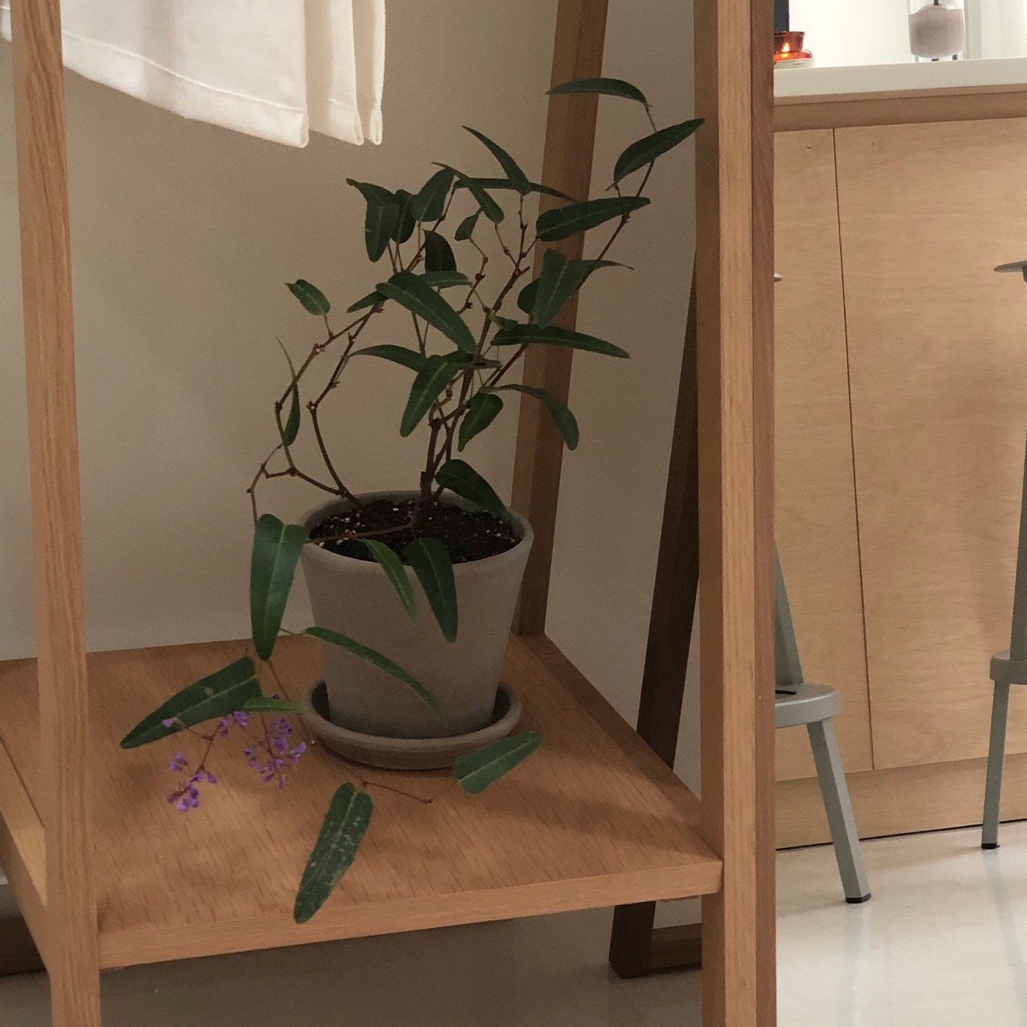 Shop.Heesoop.Work | 서울특별시 강동구 65 천호대로168가길 | +82 10-3620-9376