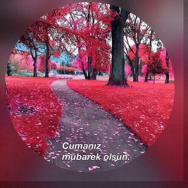 SAMSUNG DIGITAL PLAZA | Sumerpark AVM, Denizli/Denizli | +90 258 252 12 99