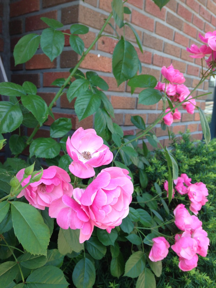 서울맹학교 | 서울 종로구 신교동 1-4 | +82 2-737-0652