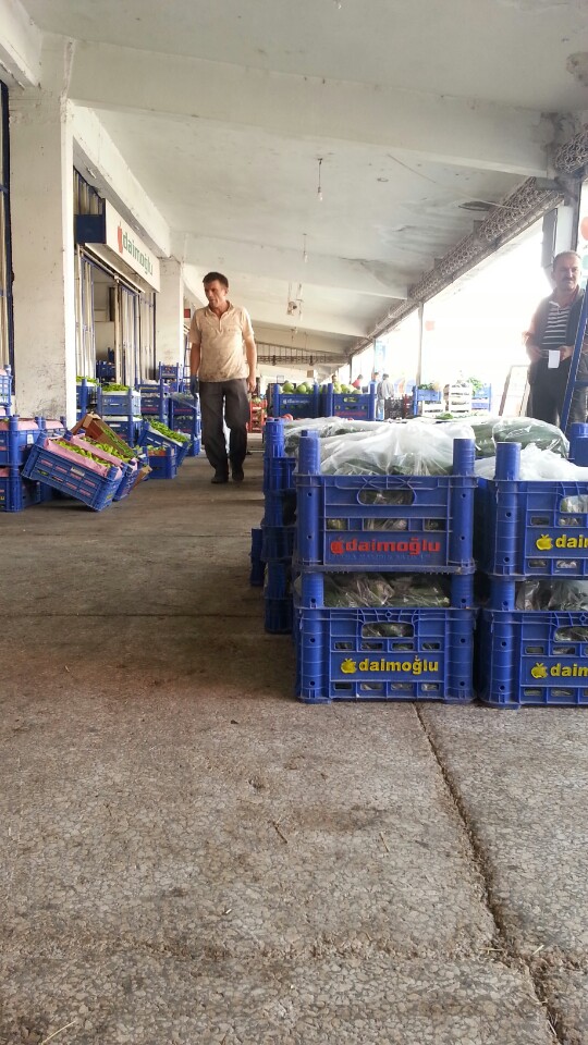 Daimoğlu Meyve Sebze | Yenipervane 4. Cadde, 38030 Kocasinan/Kayseri | +90 352 240 43 06