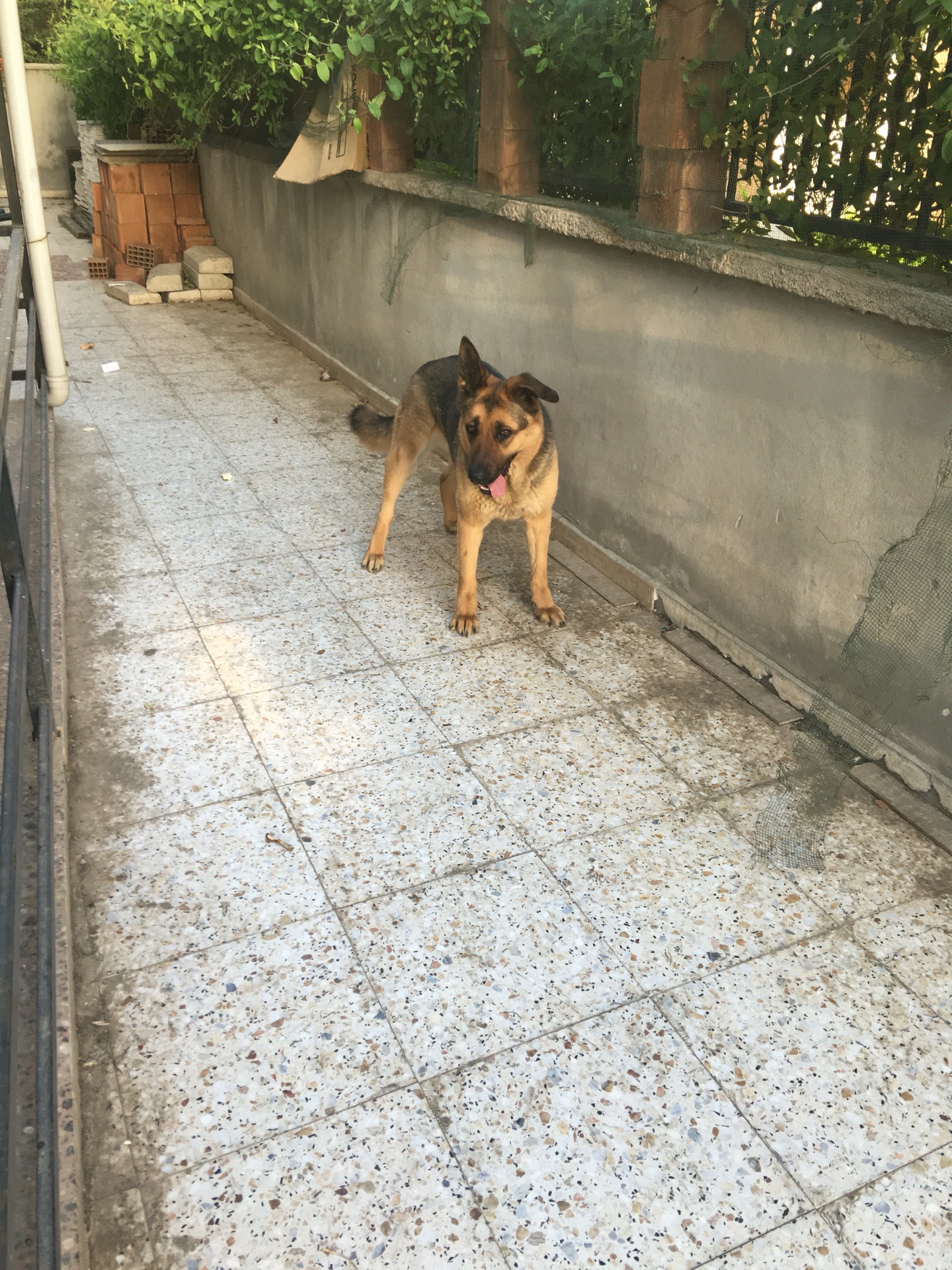 Hoşdiller Turkcell Dağıtım Merkezi & Hoşdiller Plaza | Cumhuriyet Mahallesi 150. Sokak No:14, 23100 Elazig/Elazig | +90 424 233 10 10