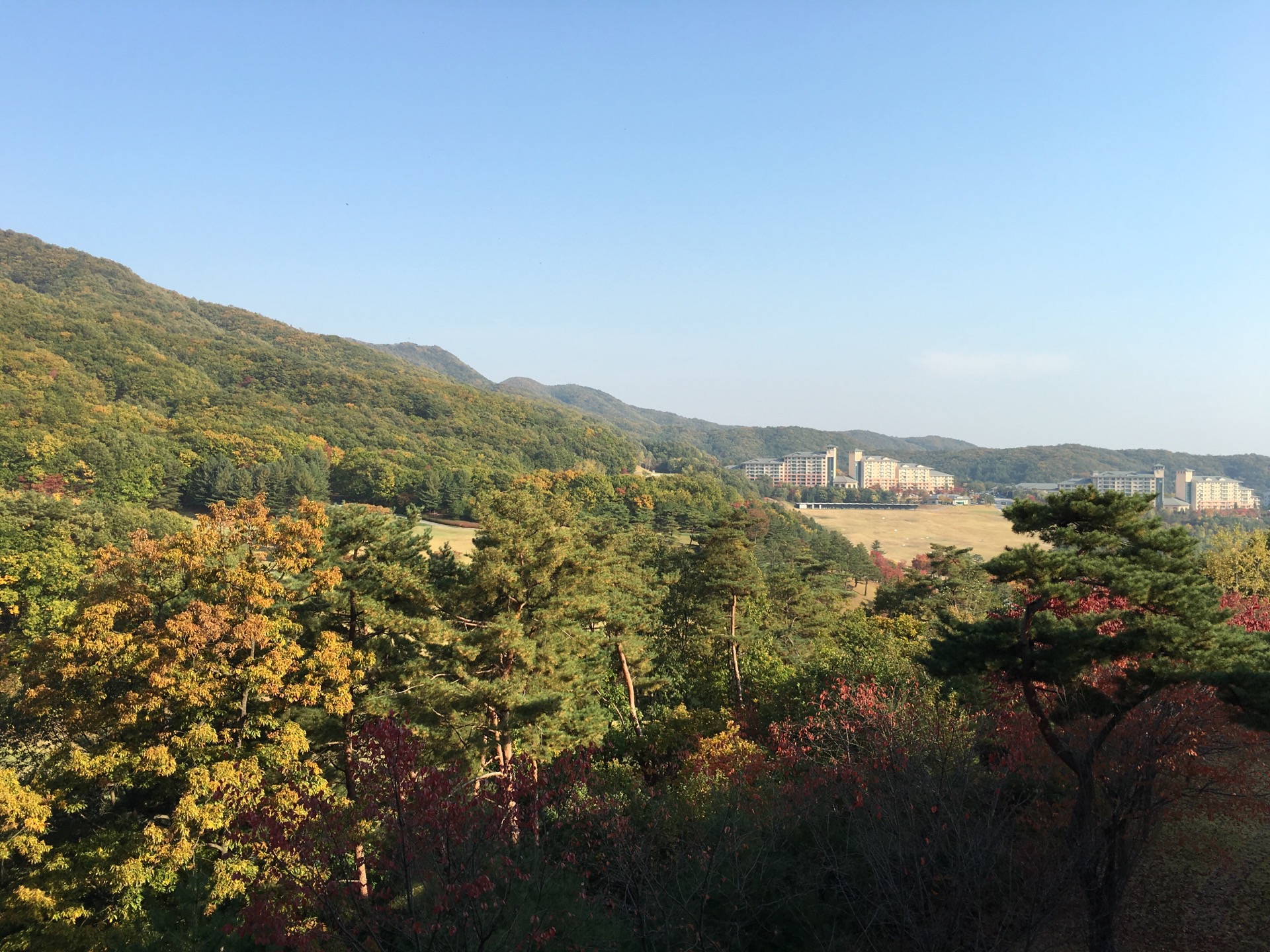 오크밸리 CC (Oak Valley CC) | 강원도/한국 원주 지정면 오크밸리1길 67 | +82 33-730-3500 오크밸리 CC (Oak Valley CC) | 강원도/한국 원주 지정면 오크밸리1길 67 | +82 33-730-3500