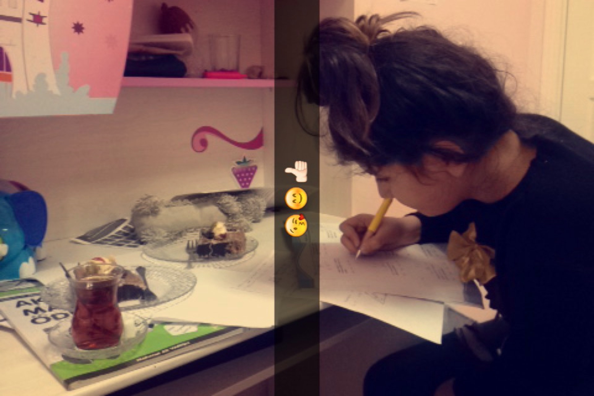 karayol sigorta | Kepez/Antalya | +90 532 454 25 65