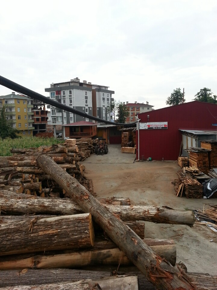 sancaktutan orman ürünleri | kemalpaşa merkez, Hopa/Artvin | +90 466 361 26 80