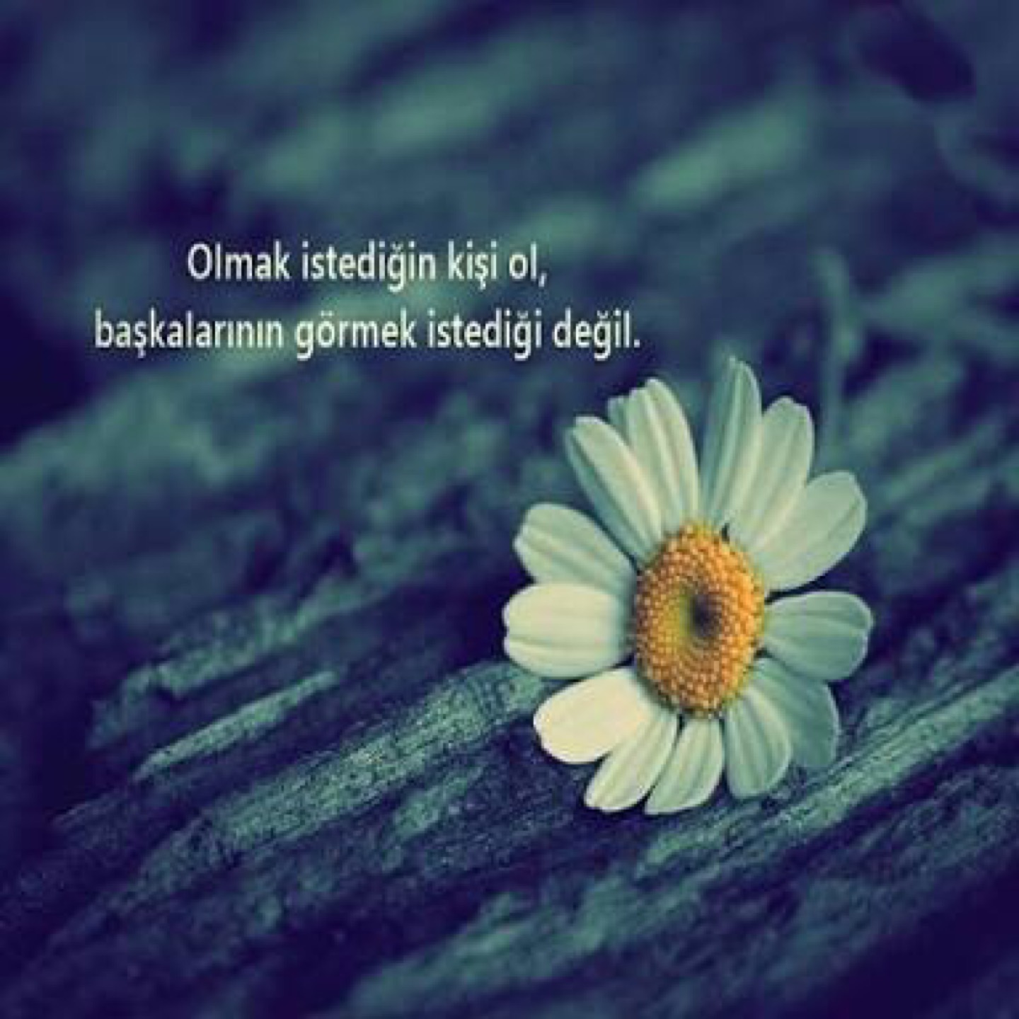 Autowax Professional Car Care Services | Tuzla/İstanbul | +90 532 404 55 03