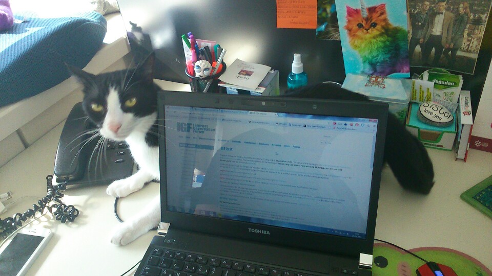 Artı İletişim Yönetimi | morbasan Sokak koza is merkezi b blok, Besiktas/İstanbul | +90 212 347 03 30