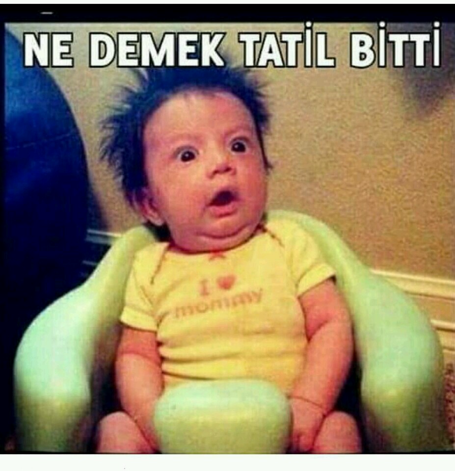 TÜRK METAL SENDİKASI GEMLİK ŞUBESİ | Doktor Ziya Kaya Mahallesi 2 Nolu Aralık Sokak No:1 Kat:3, Gemlik/Bursa | +90 224 514 78 08