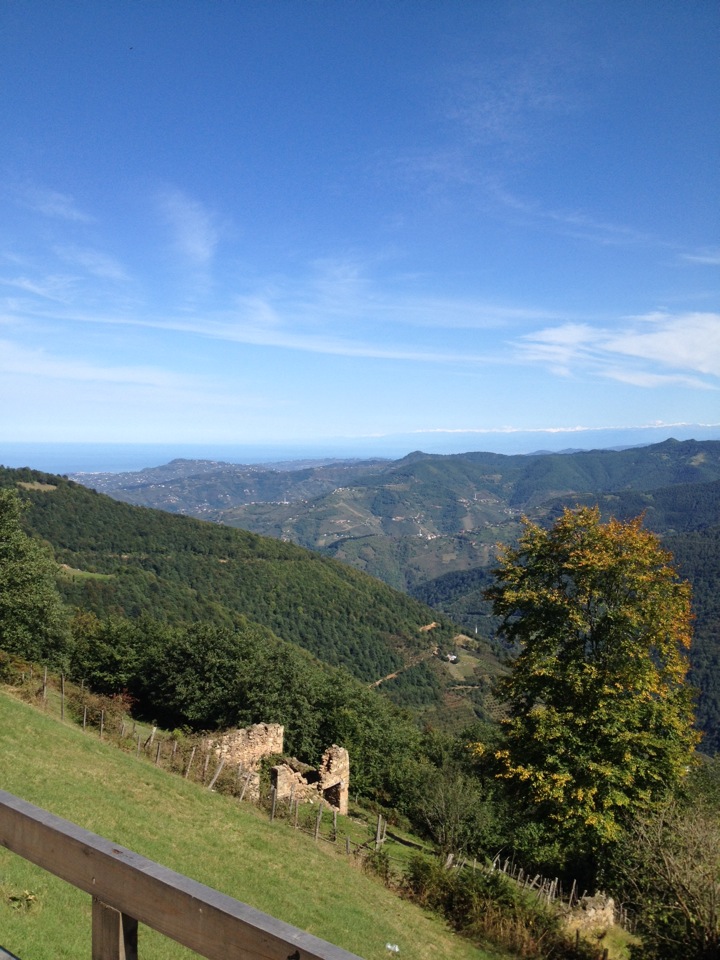 Sırt Aile Dinlenme Tesisi | Akpınar Mahallesi Sırt Mezraası, 61300 Akçaabat/Trabzon | +90 462 258 80 27