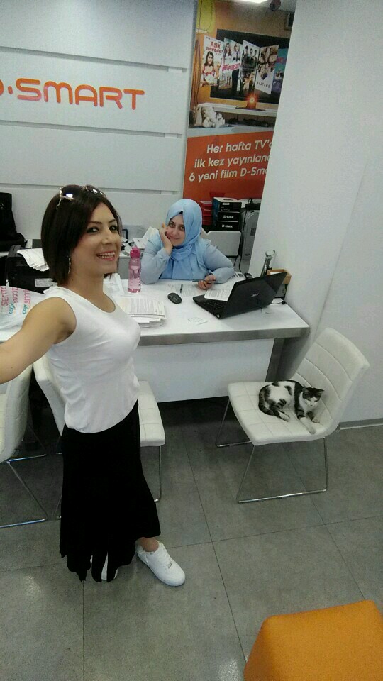 Darmanlar Elektronik | Yenidogan Mahallesi 48. Sokak No:124 Zeytinburnu Istanbul, Zeytinburnu/İstanbul | +90 212 510 03 47