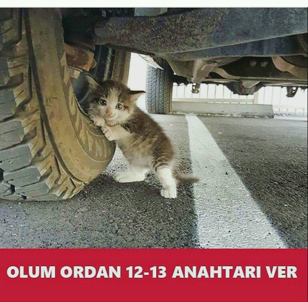 Teknik Eller VAG Service | Düzköy Yolu Üzeri Yaylacık Mahallesi No: 151, 61000 Akçaabat/Trabzon | +90 462 227 62 02